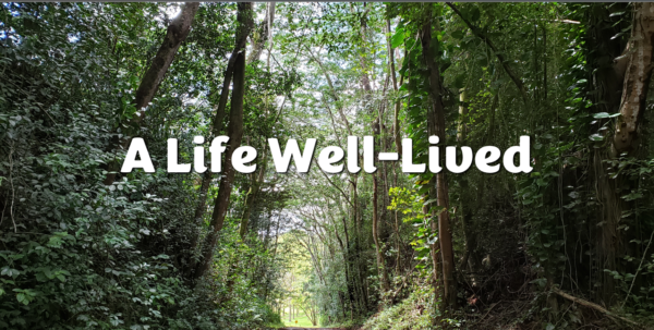 The Measure of a Life Image