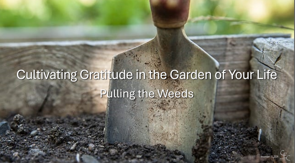 Pulling the Weeds