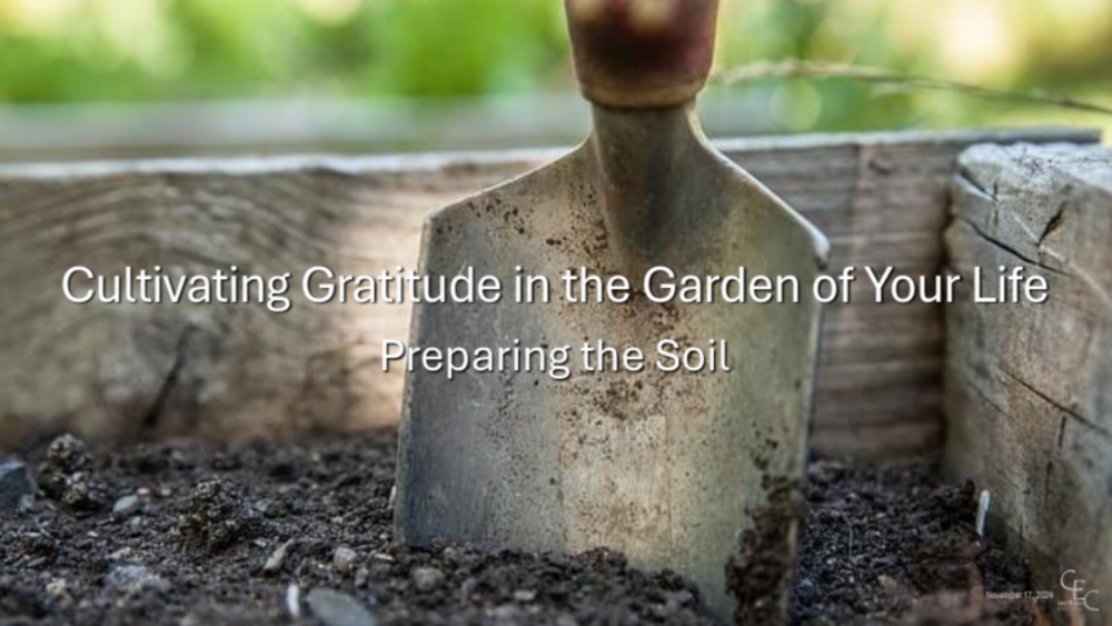 Preparing the Soil Image