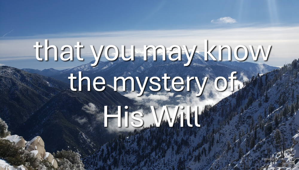 ...the mystery of His Will Image