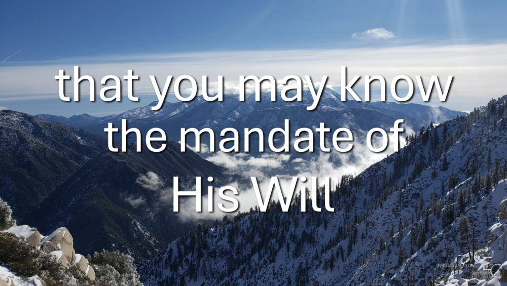 ... the mandate of His Will Image