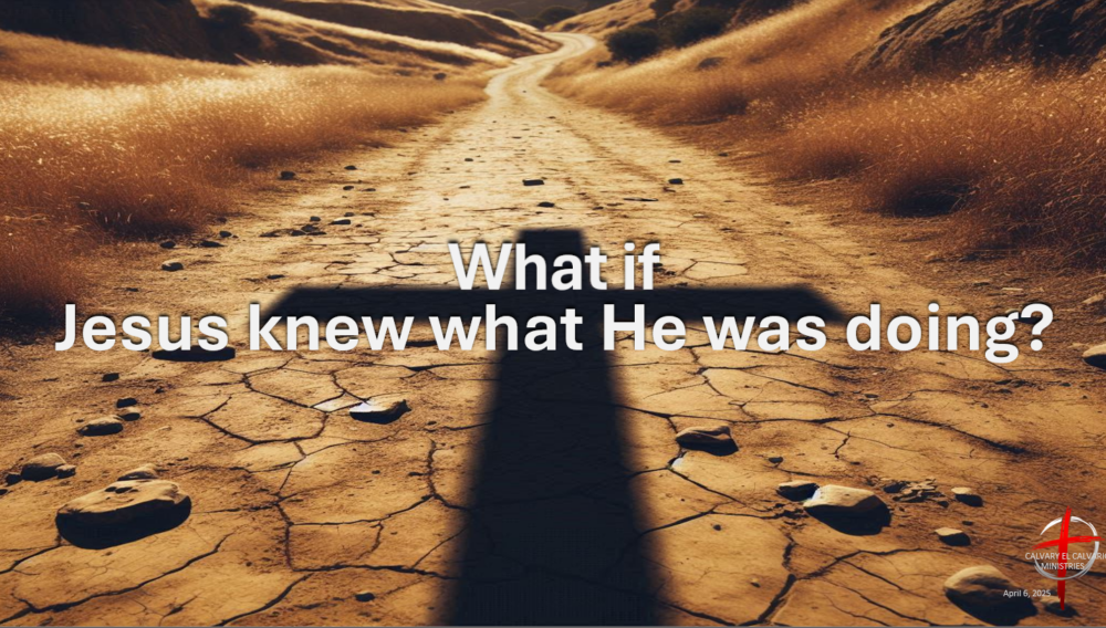 ... Jesus knew what He was doing? Image