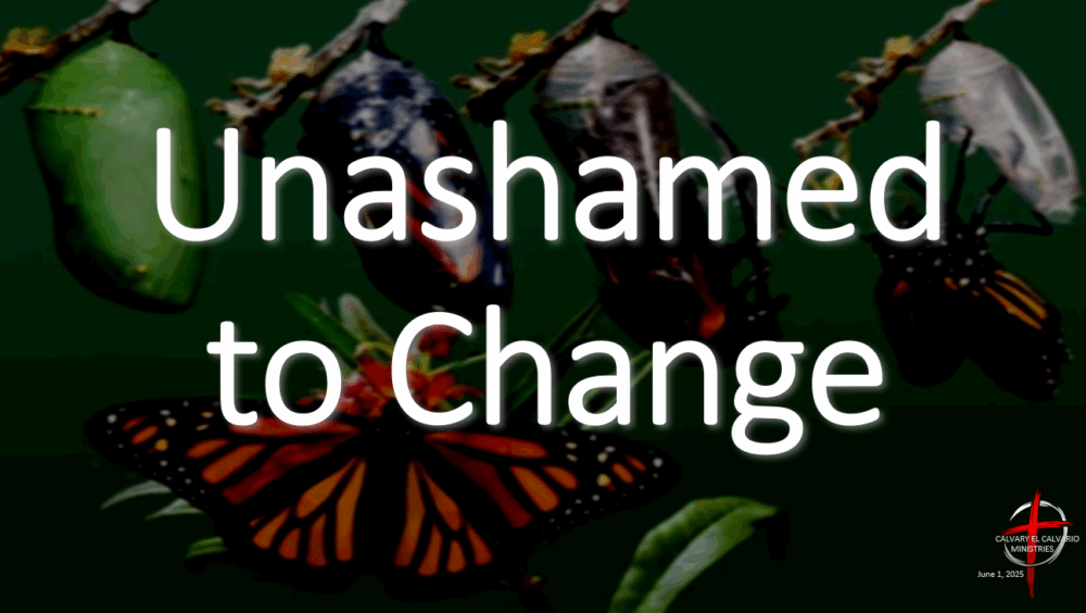 Unashamed to Change Image