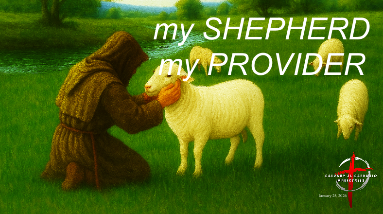 ... my PROVIDER  Image